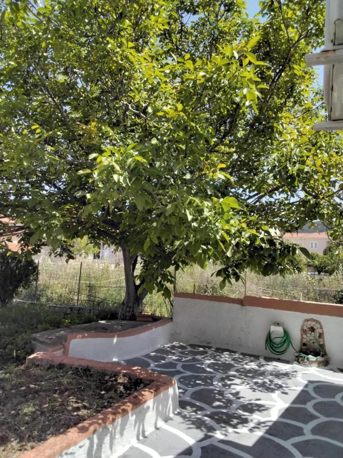 Ralloy Hoyse Sami  Exterior foto